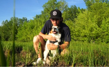 Mini Australian Shepherd on an outdoor adventure