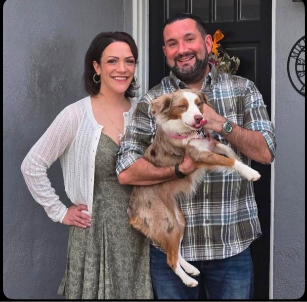 Mini Australian Shepherd with a happy family, showing well-socialized behavior around people
